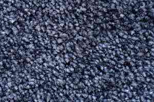 Ковролин AW Masquerade Euphoria 78 фото  | FLOORDEALER